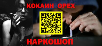 сатива Новокубанск