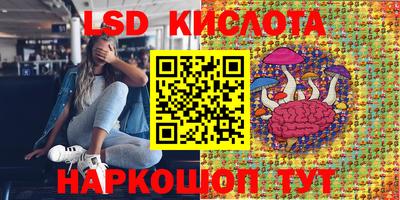 a pvp Новодвинск