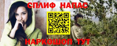 сатива Новокубанск