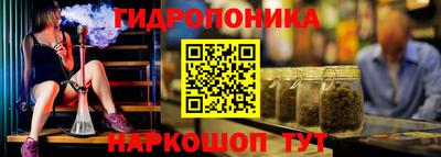 a pvp Новодвинск